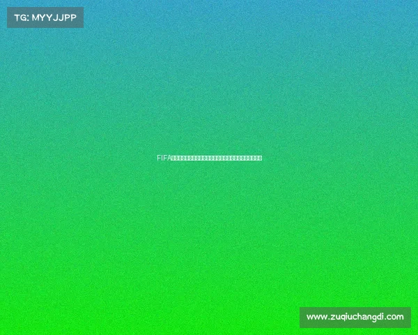 FIFA世界杯外套潮流设计与穿搭灵感全面解析指南趋势解读版本