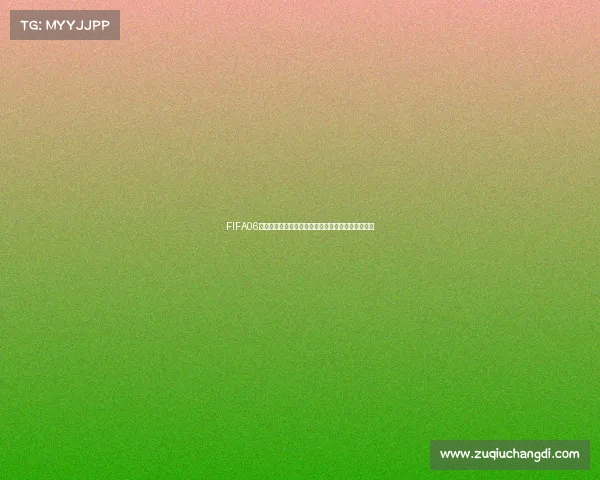 FIFA06世界杯游戏菜单经典回顾与沉浸式操作界面体验指南